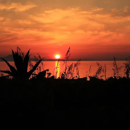Hotel apartamentowy Alkionis 2*